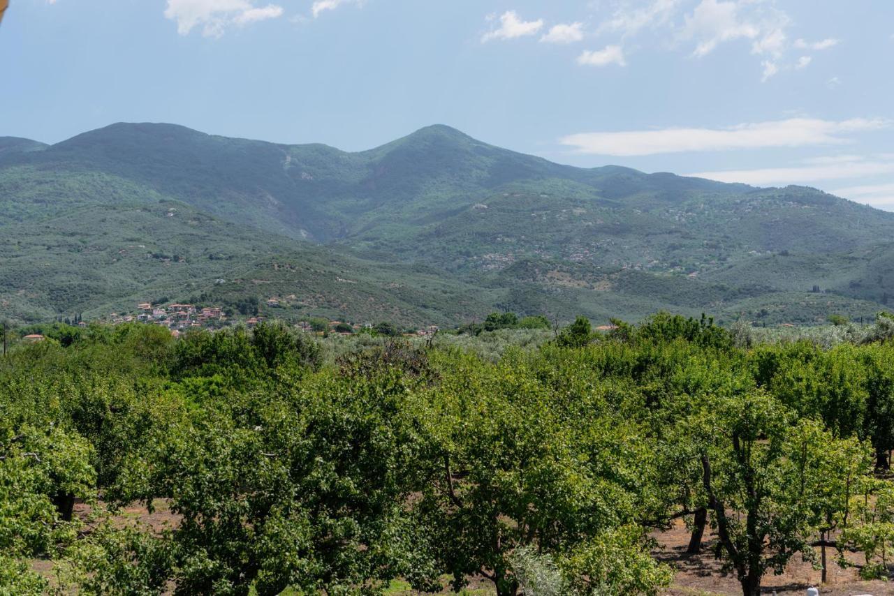 Karavos Grove Villa Kato Lekhonia Luaran gambar